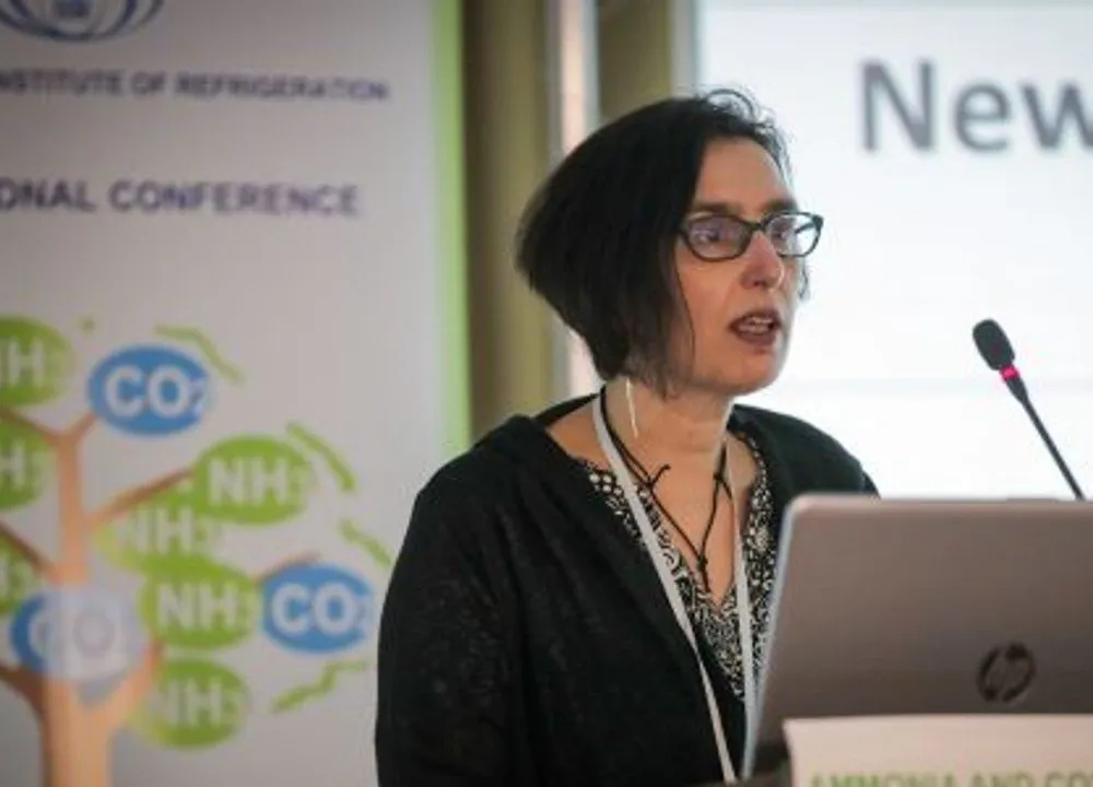Ekaterini Kriezi, Global Application Expert for Danfoss, speaking at the IIR Conference in Ohrid, North Macedonia