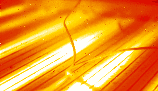 Institute for Thermodynamics (IfT) 2